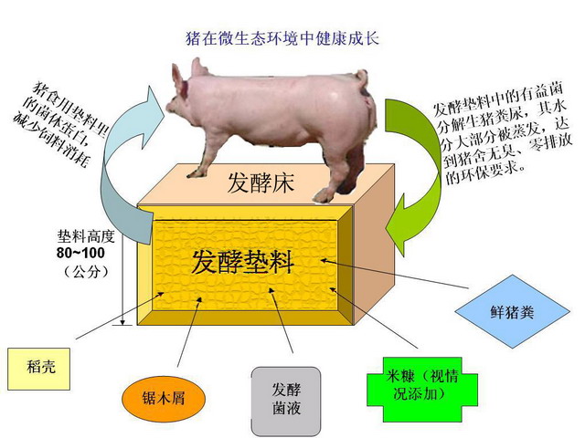 發酵床養豬技術原理 發酵床示意圖